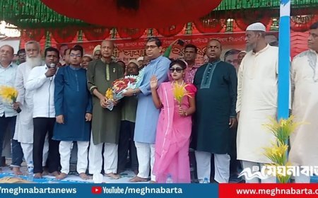 জাপার ৫ হাজার নেতাকর্মী চেয়ারম্যানের নেতৃত্বে বিএনপিতে যোগদান