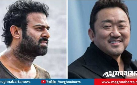 ‘স্পিরিট’-এ খলনায়ক হিসেবে আসছেন কোরিয়ান তারকা ডন লি