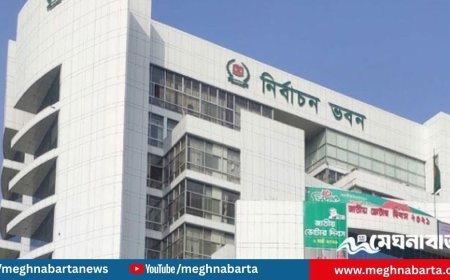 টিকটক প্রতিনিধিদের সঙ্গে সিইসির বৈঠক