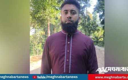 এনসিপি ছাড়লেন আরও এক নেতা