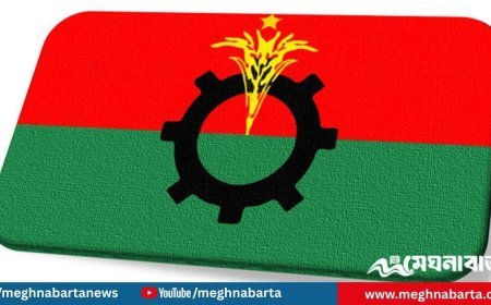 দুপুরে সংবাদ সম্মেলন ডেকেছে বিএনপি