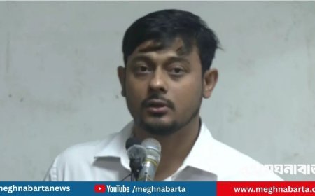 গৃহযুদ্ধের পরিস্থিতি হলে দায় প্রধান উপদেষ্টার : নাসীরুদ্দীন পাটওয়ারী