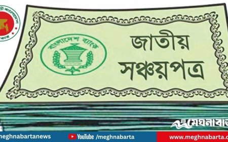 সঞ্চয়পত্রের টাকা চুরি, কী বলছে বাংলাদেশ ব্যাংক; জালিয়াতি না হ্যাকিং?