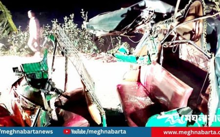 সড়কের পাশে দাঁড়িয়ে থাকা ট্রাকে অটোরিকশার ধাক্কা, নিহত ২