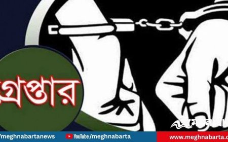 রাজধানীতে আওয়ামী লীগের ঝটিকা মিছিল, ২৯ জন গ্রেপ্তার