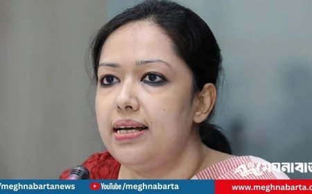 জাতির সঙ্গে প্রতারণা করা হচ্ছে, বিএনপি বলছে ‘না’: রুমিন ফারহানা