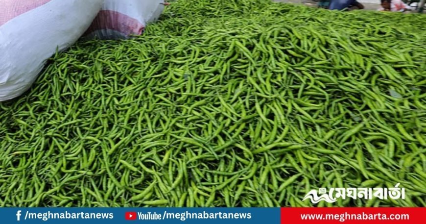 কাঁচা মরিচের দাম আবার ৩০০ টাকা ছাড়াল