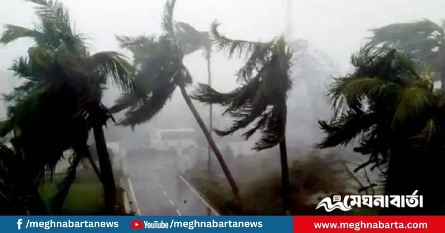 দুপুরের মধ্যে যেসব জেলায় হতে পারে ঝড়বৃষ্টি
