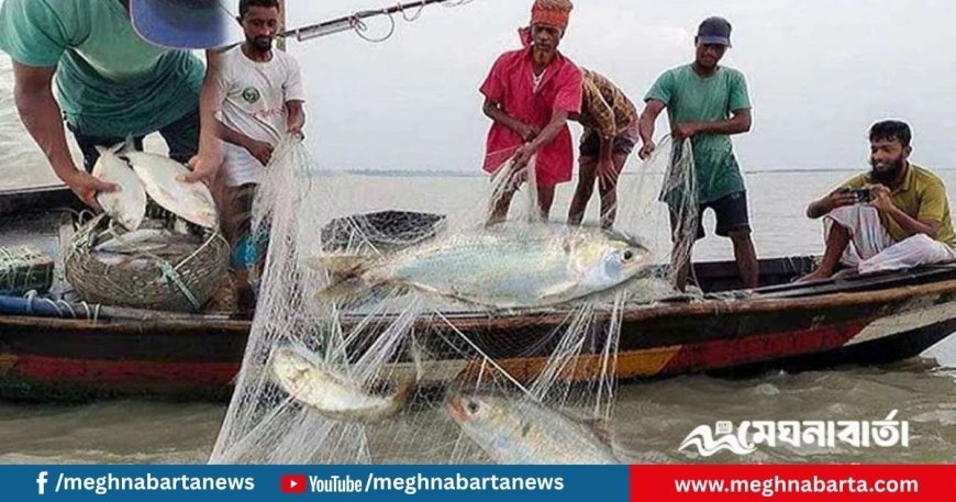 ইলিশ ধরায় ২২ দিনের নিষেধাজ্ঞা শুরু