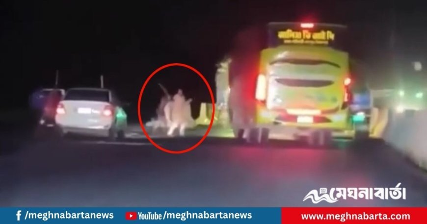 মহাসড়কে ডাকাতির ভাইরাল ভিডিও নিয়ে যা জানা গেল