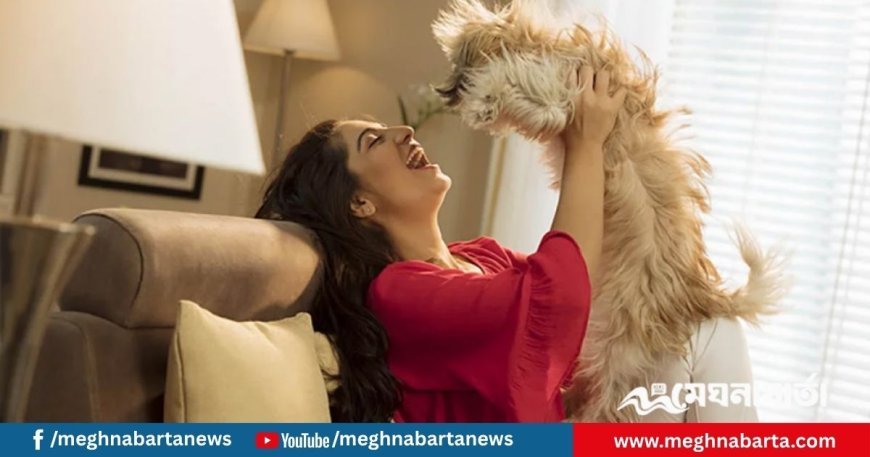 পোষা প্রাণী ঘরে থাকলে মানুষের রোগ প্রতিরোধ ক্ষমতা কি বাড়ে?