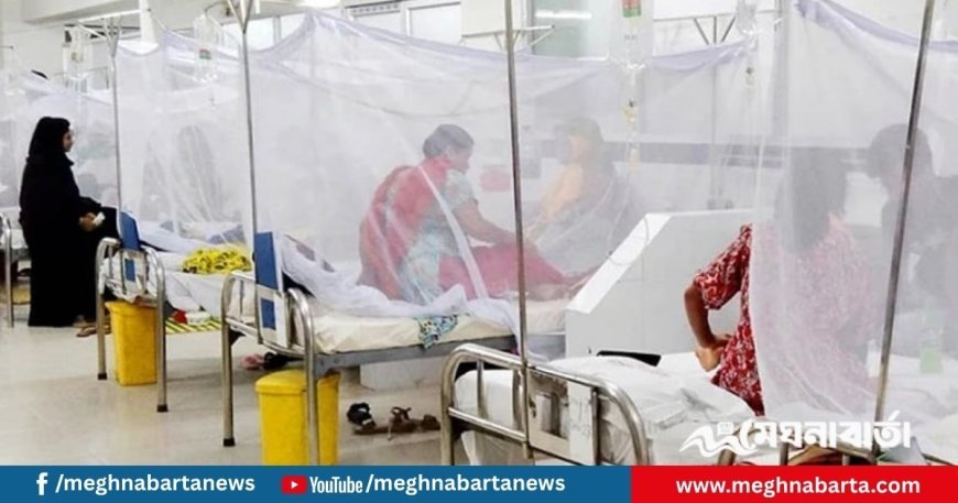ডেঙ্গুতে আরও নয়জনের মৃত্যু, সর্বোচ্চ আক্রান্তের রেকর্ড