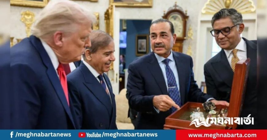 আমেরিকাকে সীমান্তবর্তী বন্দর উপহার দিতে চায় পাকিস্তান:  ফিন্যান্সিয়াল টাইমস