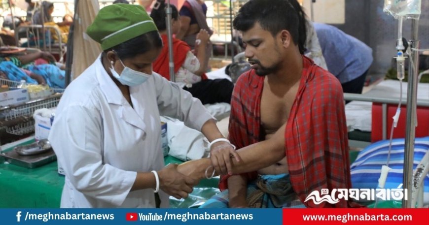 চলতি বছরে ৫০ হাজার ছাড়াল ডেঙ্গু রোগী