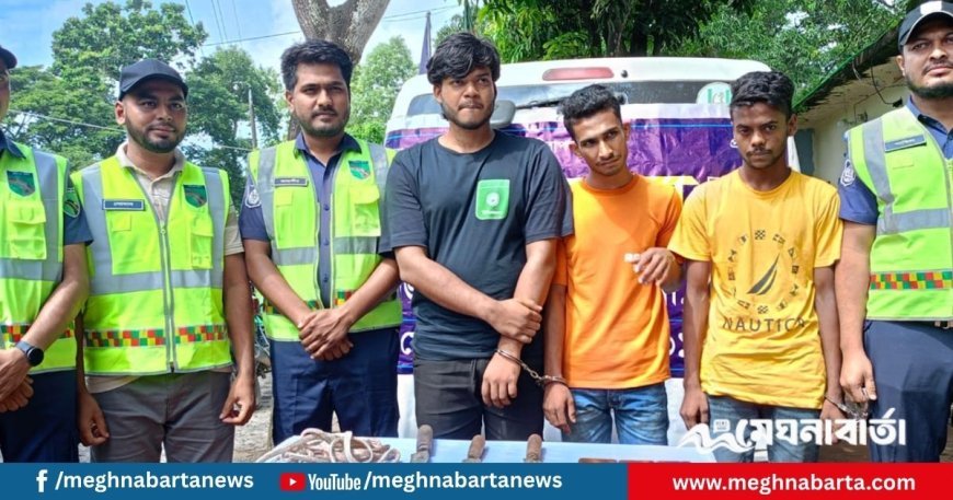 অ্যাম্বুলেন্সে করে মহাসড়কে ডাকাতির চেষ্টা