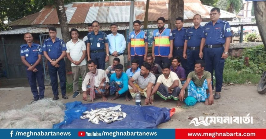 পদ্মায় ইলিশ ধরায় ৯ জেলে গ্রেপ্তার