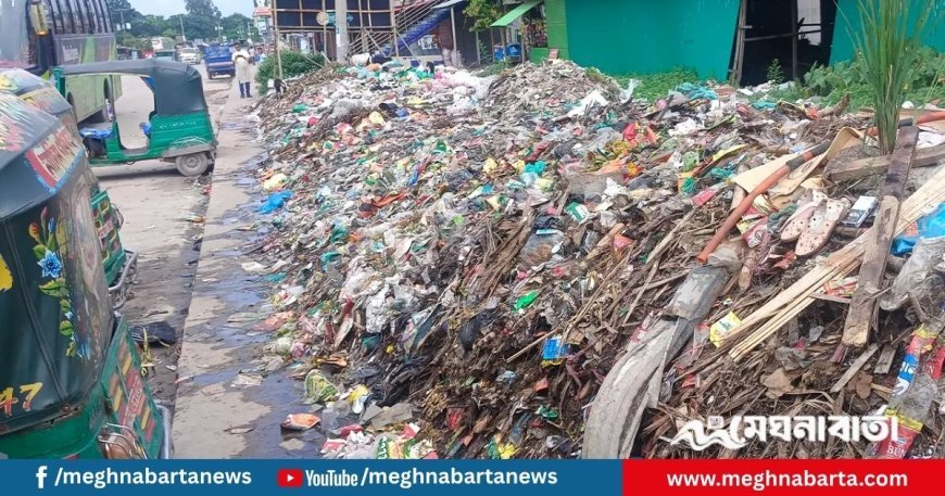 সড়কের পাশে ময়লার ভাগাড়, দুর্গন্ধে অতিষ্ঠ মানুষ