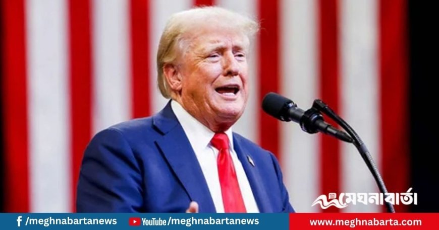ইসরায়েল ও হামাস যুদ্ধবিরতি পরিকল্পনার প্রথম ধাপে সম্মত : ট্রাম্প