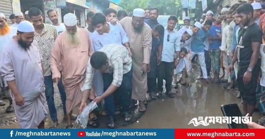 প্রথমে ধান ও পরে মাছ ছেড়ে সড়কে প্রতিবাদ হাসনাত আবদুল্লাহর