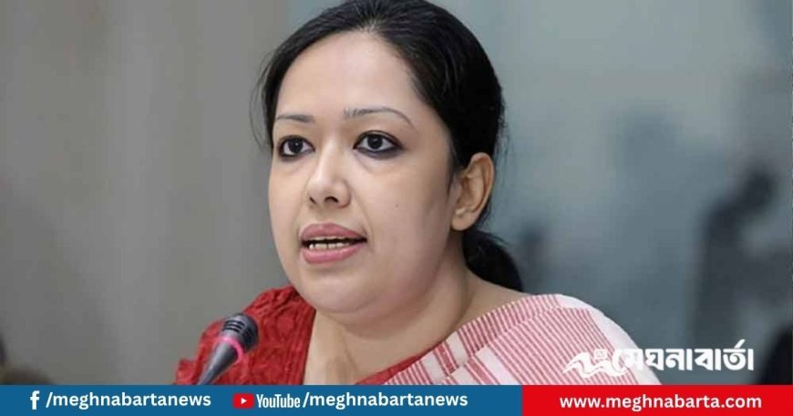 যারা ভারতপন্থী শাসন চায়, তারাই দেশকে অস্থিতিশীল করছে : রুমিন ফারহানা