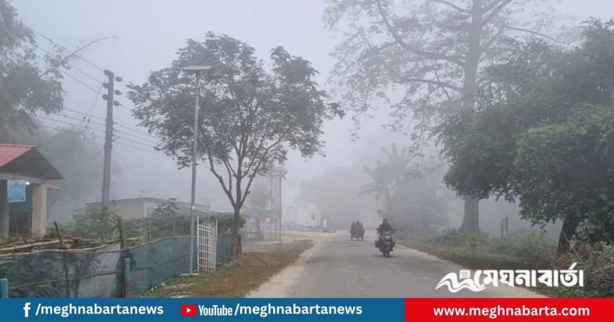 উত্তরে শীতের আমেজ, পঞ্চগড়ে ঘন কুয়াশা