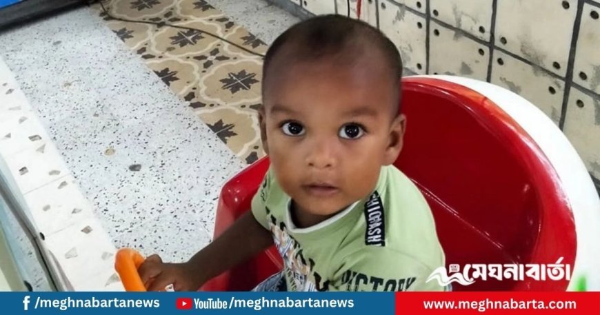 নিখোঁজের ছয় ঘণ্টা পর ডোবা থেকে শিশুর মরদেহ উদ্ধার