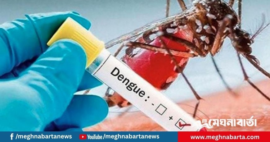 ডেঙ্গুতে ১০ দিনে হাসপাতালে ভর্তি ৬ হাজার, মৃত্যু ২৬ জনের