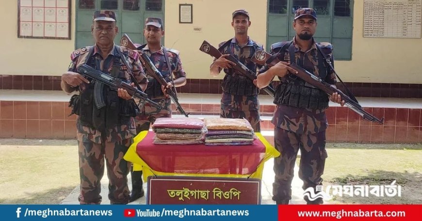 সীমান্তে বিজিবির অভিযানে বিপুল ভারতীয় পণ্য জব্দ