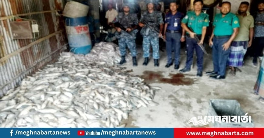 চট্টগ্রামে ২৫০০ কেজি মা ইলিশ জব্দ, গেল এতিমখানা ও মাদরাসায়
