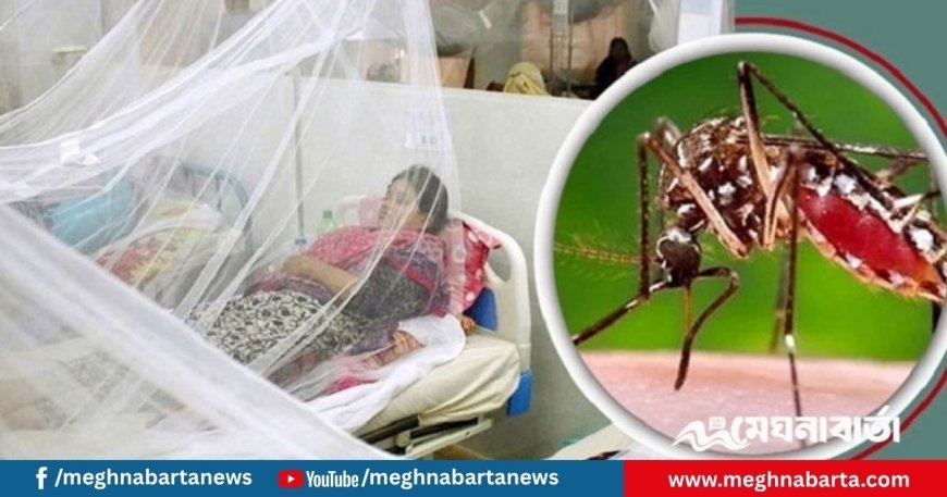 ডেঙ্গুতে আরও ৫ জনের মৃত্যু