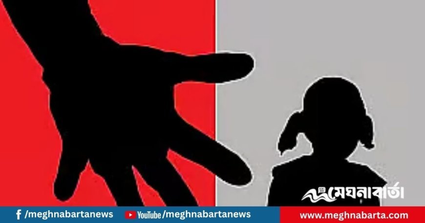 ময়মনসিংহে জলপাই কুড়াতে যাওয়া শিশুকে ধর্ষণের মামলায় একজন গ্রেপ্তার