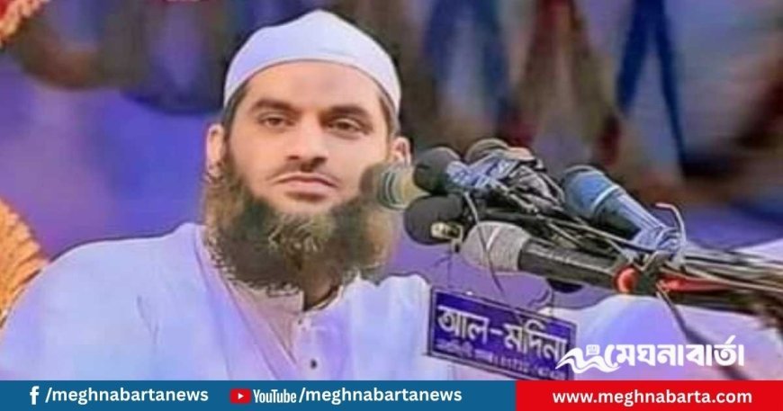 বিএনপির সঙ্গে জোট! কি বললেন মামুনুল হক