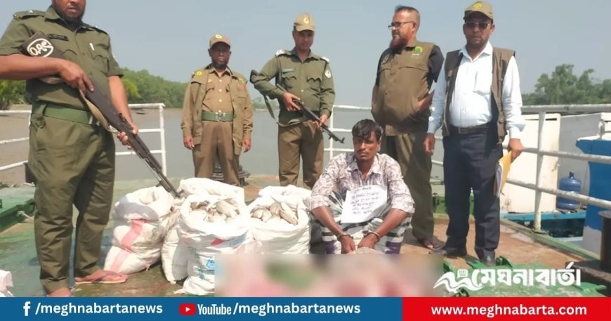 ৪৮ কেজি হরিণের মাংসসহ ১ শিকারি গ্রেপ্তার
