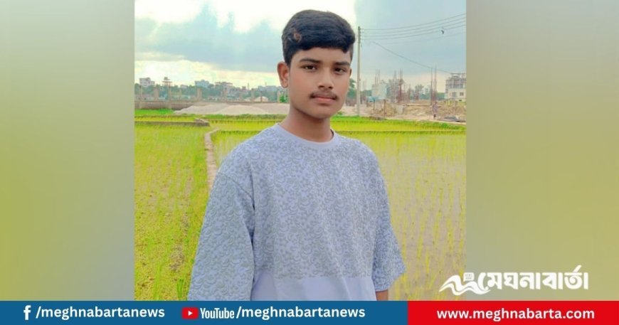 টিকটক বানাতে গিয়ে প্রাণ গেল হৃদয়ের