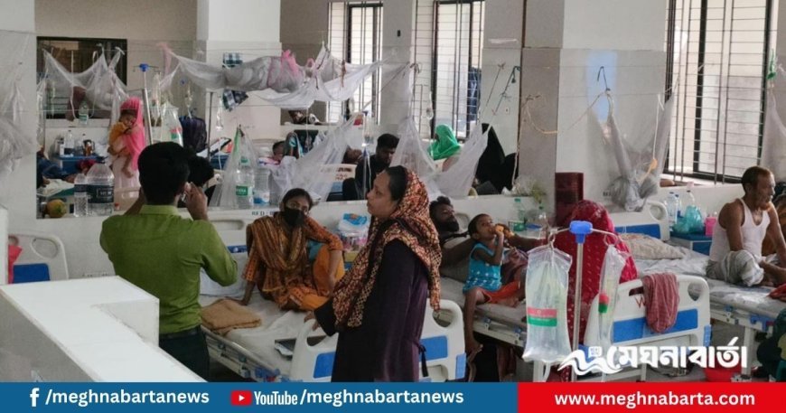 ডেঙ্গুতে আরও ৫ জনের মৃত্যু, হাসপাতালে ভর্তি ৮৪১