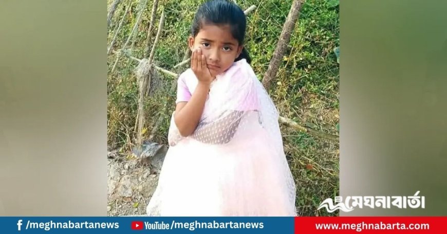 ভাবিকে হত্যার ১০ বছর পর চাচার হাতে এবার ভাতিজি খুন