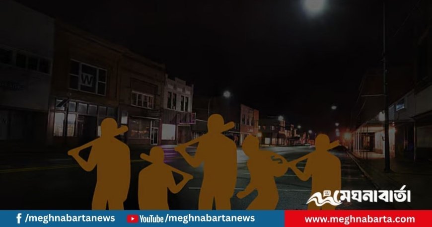 দাউদকান্দিতে মৎস্য চাষ প্রকল্পের কার্যালয়ে ডাকাত দলের হামলা, ব্যবসায়ী গুলিবিদ্ধ