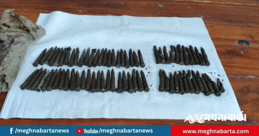 চুলা তৈরির সময় মাটি খুঁড়ে পাওয়া গেল ৭১ রাউন্ড গুলি