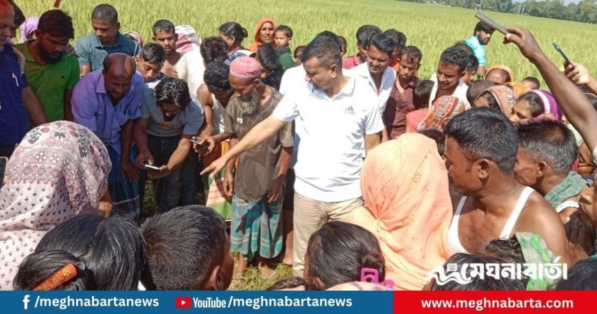 বকশীগঞ্জে নিখোঁজের ১৬ ঘণ্টা পর ধানক্ষেতে মিলল শিশুর মরদেহ