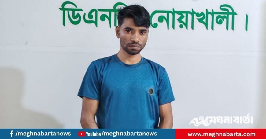 নোয়াখালীতে পিস্তল-গুলিসহ মাদক কারবারি গ্রেপ্তার