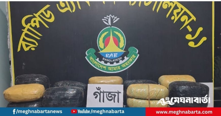 নারায়ণগঞ্জে ২ মণ গাঁজাসহ দুই মাদক কারবারি আটক