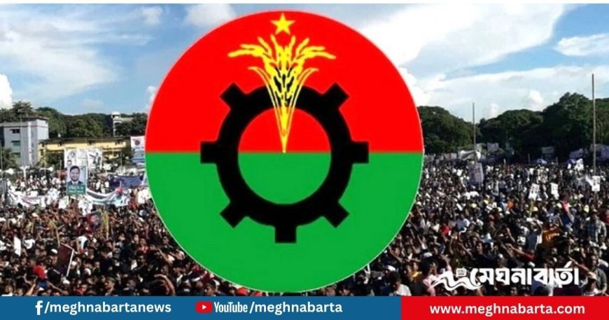 চলতি মাসেই ২৫০ আসনে একক প্রার্থীকে সবুজ সংকেত দেবে বিএনপি