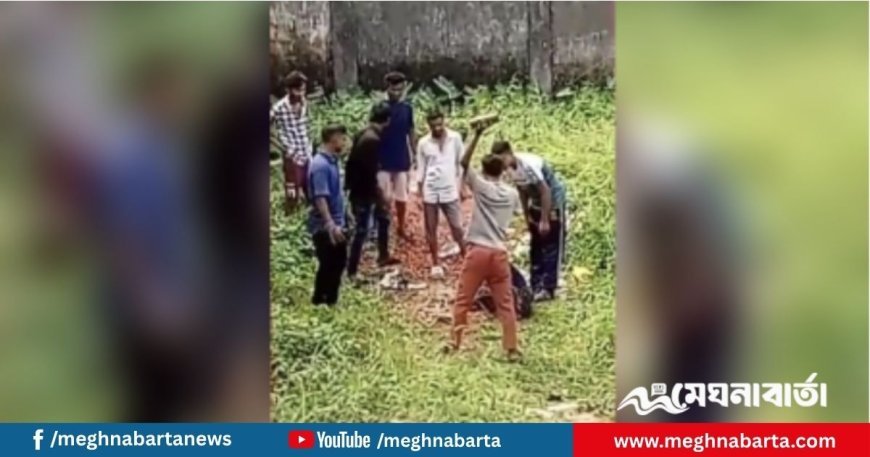 মিটফোর্ডের আদলে নারায়ণগঞ্জে নৈশপ্রহরীকে ইট দিয়ে থেঁতলে হত্যা; ভিডিও ভাইরাল