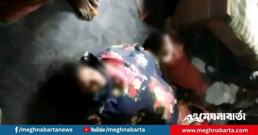 গফরগাঁওয়ে মেয়েকে হত্যা করে মায়ের আত্মহত্যা