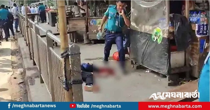 ফার্মগেটে মেট্রোরেলের বিয়ারিং প্যাড পড়ে এক পথচারীর মৃত্যু