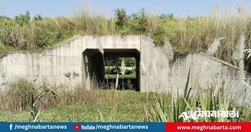 রেল প্রকল্পে থমকে আছে কৃষকের জীবিকা