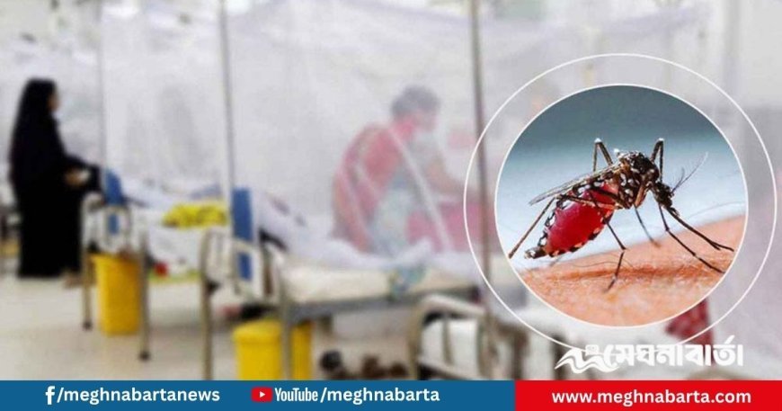 ২৪ ঘণ্টায় ডেঙ্গুতে ৬ জনের মৃত্যু, হাসপাতালে ভর্তি ৯৮৩ জন