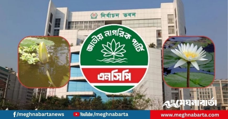 ‘শাপলা কলি’ নয়, মূল ‘শাপলা’ প্রতীকেই অনড় এনসিপি