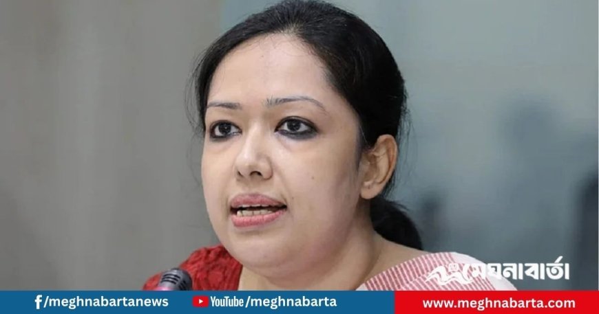 জাতির সঙ্গে প্রতারণা করা হচ্ছে, বিএনপি বলছে ‘না’: রুমিন ফারহানা