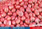 এক সপ্তাহে ৩০ টাকা বেড়ে পেঁয়াজের কেজি এখন ১১০ টাকা